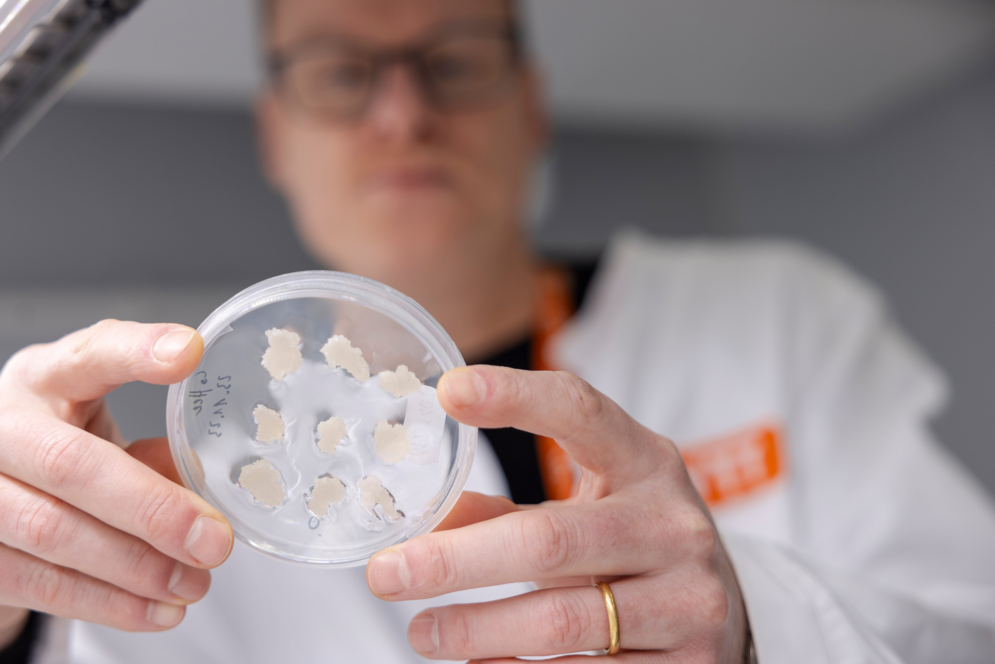 Ensure that logos are correct and nothing confidential is visible